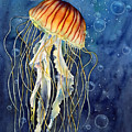 Jellyfish Painting by Hailey E Herrera Jellyfish Painting by Hailey E Herrera