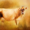 Jersey Cow  by Michelle Wrighton