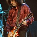 Jimmy Page-0020 by Timothy Bischoff Jimmy Page-0020 by Timothy Bischoff