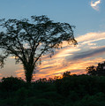 July Sunset Photograph by Holden The Moment July Sunset Photograph by Holden The Moment