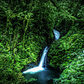 Jungle Waterfall Photograph by Nicklas Gustafsson Jungle Waterfall Photograph by Nicklas Gustafsson