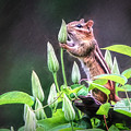 Just A Little Sniff Photograph by Tina LeCour Just A Little Sniff Photograph by Tina LeCour