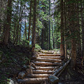 Just Another Stairway To Heaven Photograph by James BO Insogna Just Another Stairway To Heaven Photograph by James BO Insogna