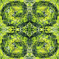 Kaleidoscope Mandalas #1112 by Rainbow Artist Orlando L Kaleidoscope Mandalas #1112 by Rainbow Artist Orlando L