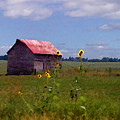 Kansas Landscape by Steve Karol Kansas Landscape by Steve Karol