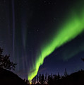 Kantishna Northern Lights in Denali National Park Photograph by Brenda Jacobs Kantishna Northern Lights in Denali National Park Photograph by Brenda Jacobs