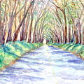 Kauai Tree Tunnel 3 Painting by Marionette Taboniar Kauai Tree Tunnel 3 Painting by Marionette Taboniar