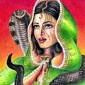 King Cobra by Scarlett Royal King Cobra by Scarlett Royal