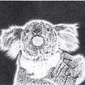 King Koala Drawing by Casey 'Remrov' Vormer King Koala Drawing by Casey 'Remrov' Vormer