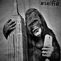 King Kong Selfie B W by Rob Hans King Kong Selfie B W by Rob Hans
