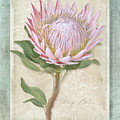 King Protea Blossom - Vintage Style Botanical Floral 1 Painting by Audrey Jeanne Roberts King Protea Blossom - Vintage Style Botanical Floral 1 Painting by Audrey Jeanne Roberts