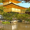 Kinkakuji Golden Pavilion Kyoto Photograph by Sebastian Musial Kinkakuji Golden Pavilion Kyoto Photograph by Sebastian Musial
