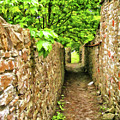 Kirkwall Walk Photograph by Monroe Payne Kirkwall Walk Photograph by Monroe Payne