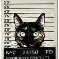 Kitty Mugshot Mixed Media by Nicklas Gustafsson Kitty Mugshot Mixed Media by Nicklas Gustafsson