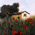 La Casetta In Mezzo Ai Papaveri Painting by Guido Borelli La Casetta In Mezzo Ai Papaveri Painting by Guido Borelli