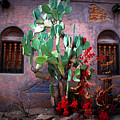 La Hacienda In Old Tuscon Az by Susanne Van Hulst La Hacienda In Old Tuscon Az by Susanne Van Hulst