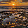 La Jolla Tidepools by Peter Tellone La Jolla Tidepools by Peter Tellone