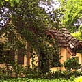 La Maison Photograph by Debbi Granruth La Maison Photograph by Debbi Granruth