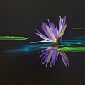 Lagan Love by Hunter Jay Lagan Love by Hunter Jay