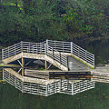Lake Fenwick Photograph by Jerry Cahill