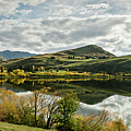 Lake Hayes Photograph by Chris Cousins
