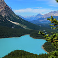 Lake Peyto Banff National Park Alberta Canada by Ola Allen