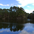 Lake Thomas Hilton Head Photograph by Thomas Marchessault Lake Thomas Hilton Head Photograph by Thomas Marchessault