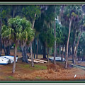 Lake Wauburg Rain Photograph by Farol Tomson Lake Wauburg Rain Photograph by Farol Tomson