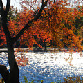 Lakewood by Steve Karol Lakewood by Steve Karol