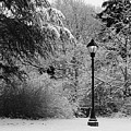 Lamp Post in Winter - B/W Photograph by William Selander Lamp Post in Winter - B/W Photograph by William Selander