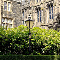 Lamppost in front of green bushes and old walls. Photograph by Elena Perelman Lamppost in front of green bushes and old walls. Photograph by Elena Perelman