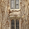 Lancet windows and climbers around them. Winter time. Photograph by Elena Perelman Lancet windows and climbers around them. Winter time. Photograph by Elena Perelman