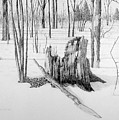 Land Conservation. by Conrad Mieschke