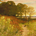 Landscape with Wild Flowers and Rabbits by Robert Collinson Landscape with Wild Flowers and Rabbits by Robert Collinson