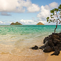 Lanikai Beach 1 - Oahu Hawaii Photograph by Brian Harig Lanikai Beach 1 - Oahu Hawaii Photograph by Brian Harig