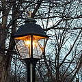 Lantern Photograph by Elly Potamianos Lantern Photograph by Elly Potamianos