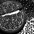Large Oreo Black And White by Nancy Mueller Large Oreo Black And White by Nancy Mueller