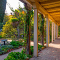 Larkin House Garden Photograph by Derek Dean Larkin House Garden Photograph by Derek Dean