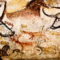 Lascaux Hall of the Bulls - Deer under Horse Photograph by Weston Westmoreland Lascaux Hall of the Bulls - Deer under Horse Photograph by Weston Westmoreland