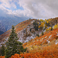 Last Fall by Chad Dutson Last Fall by Chad Dutson