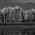 Last Sentinels Greyscale Pano Photograph by David Andersen Last Sentinels Greyscale Pano Photograph by David Andersen