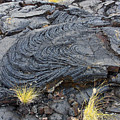 Lava Fields Photograph by Jennifer Robin Lava Fields Photograph by Jennifer Robin