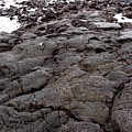 Lava Rock Island by Deborah Crew-Johnson Lava Rock Island by Deborah Crew-Johnson
