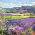 Lavender Fields in Old Provence Painting by Timothy Easton Lavender Fields in Old Provence Painting by Timothy Easton