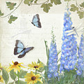 Le Petit Jardin 1 - Garden Floral w Butterflies, Dragonflies, Daisies and Delphinium Painting by Audrey Jeanne Roberts Le Petit Jardin 1 - Garden Floral w Butterflies, Dragonflies, Daisies and Delphinium Painting by Audrey Jeanne Roberts