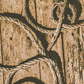 Learning The Ropes by Jorgo Photography - Wall Art Gallery Learning The Ropes by Jorgo Photography - Wall Art Gallery