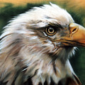 Leather Eagle by J W Baker Leather Eagle by J W Baker