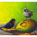 Lesser Antillean Bullfinches And Mango by Christopher Cox Lesser Antillean Bullfinches And Mango by Christopher Cox