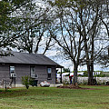 Life On A  Cotton Farm Photograph by DB Hayes