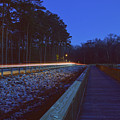 Light Trails on Elbow Road Photograph by Nicole Lloyd Light Trails on Elbow Road Photograph by Nicole Lloyd